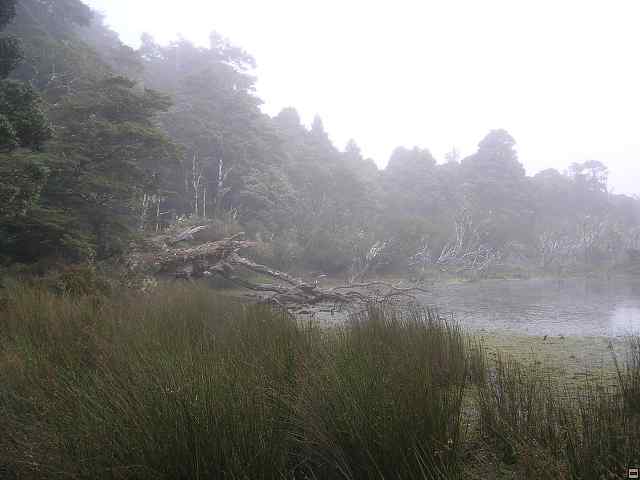 NZ leden-unor 2006 297.jpg